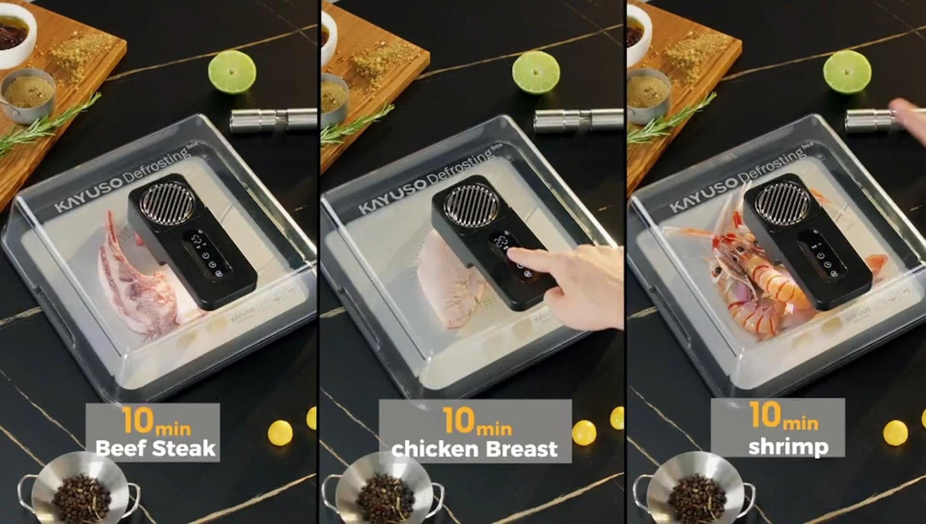 Bandeja de descongelamento rápida para carne, caixa de descongelamento de carne recarregável via USB com tampa